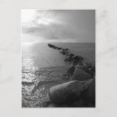 Buscar schwarz postales Peso