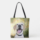 Buscar laboratorio amarillo bolsos Perro perdiguero