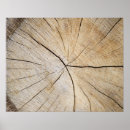 Buscar madera natural posters Marrón
