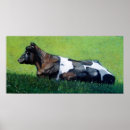Buscar lechería posters Holstein
