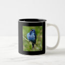 Buscar golpe tazas Naturaleza