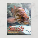 Buscar acuario postales Naranja