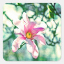 Buscar tiffany etiquetas Turquesa