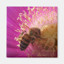 Buscar abeja imanes Insecto