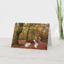 Buscar cavalier tarjetas Cavalier king charles spaniels