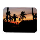 Buscar la florida imanes Miami