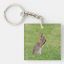 Buscar conejo llaveros Naturaleza