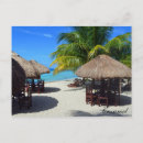 Buscar palm tree postales Arena