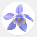 Buscar columbine pegatinas Naturaleza