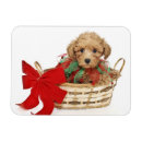 Buscar del caniche tarjetas de navidad Animal