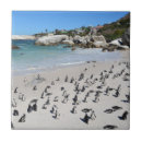 Buscar cantos rodados azulejos Playa