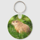 Buscar marmotas llaveros Groundhog