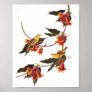 Buscar mini clásico posters General y unisex