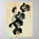 Buscar photography posters Florals