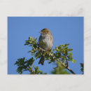 Buscar gorgeous postales Azul