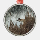 Buscar solsticio de invierno adornos Naturaleza