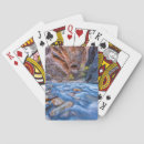 Buscar laguna barajas de cartas Paisaje