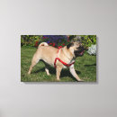 Buscar carlin lienzos Barro amasado