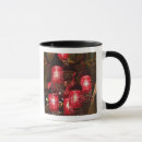 Buscar lámpara tazas Araña