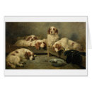 Buscar clumber Animales