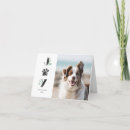 Buscar perro del gato tarjetas Para mascotas