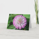 Buscar trébol tarjetas General y unisex