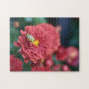 Buscar escarabajo puzzles Rojo
