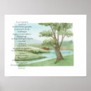 Buscar salmos 23 posters 1 ᵉʳ alma