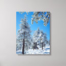 Buscar nieve lienzos Brillante