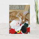 Buscar enojado tarjetas Felino