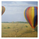 Buscar masai azulejos Explorar