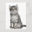 Buscar 9 meses postales Animal