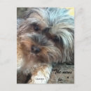 Buscar friends postales Para todos