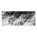 Buscar rama de árbol posters General y unisex