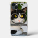 Buscar milagro iphone fundas Adorable