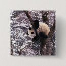Buscar panda chapas Medio ambiente