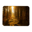 Buscar rayo de sol imanes Árbol