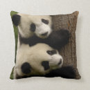 Buscar investigación cojines Centro de investigación mundial