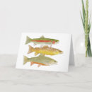 Buscar trucha arco iris tarjetas Pesca