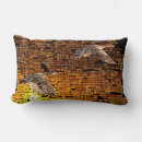 Buscar patos cojines General y unisex