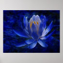 Buscar loto azul posters Floral