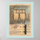 Buscar búho posters Para niños