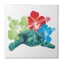 Buscar turtle azulejos Para todos