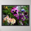 Buscar caldo posters Flores