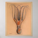 Buscar moluscos posters Pulpo