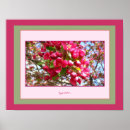 Buscar crabapples fotografía Rosa