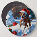 Buscar galgos chapas General y unisex