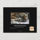 Buscar maternidad postales Puedo tener cheezburger