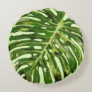 Buscar philodendron cojines Palmera