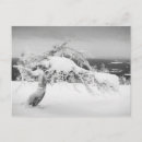 Buscar lapland postales Paisaje